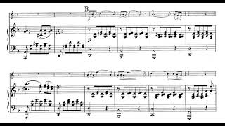 Schubert  Serenade piano accompaniment [upl. by Neellek]