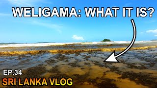 Sri Lanka Weligama OffSeason  FAMILY LIFE TRAVEL VLOG [upl. by Octavian]