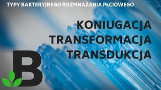 koniugacja transformacja transdukcja  KOREPETYCJE z BIOLOGII  249 [upl. by Akeyla]