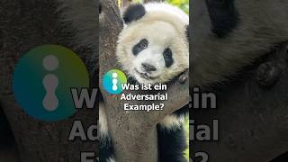 Was ist ein Adversarial Example KI Wissen [upl. by Twelve]