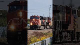 CN M382 at Tansley • September 16 2024 [upl. by Antons]