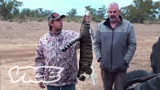 Shooting Cats Australias War on Feral Cats [upl. by Ammann796]