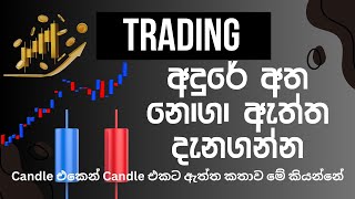 Forex Trading sinhaleFootprint chart sinhalavolume trading sinhala [upl. by Trainer]