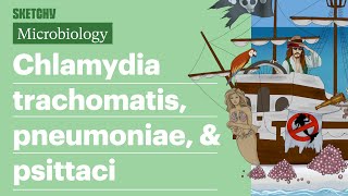 Chlamydia trachomatis pneumoniae amp psittaci  USMLE Step 1  Sketchy Medical [upl. by Muiram]