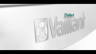 Vaillant Ecotec Diverter Valves Leaks and Failure [upl. by Rojas]