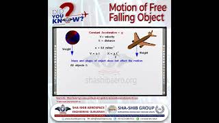 Free Falling Motion Explained  Newton’s Law Galileo’s Theory Air Resistance amp Gravitational Force [upl. by Levesque]