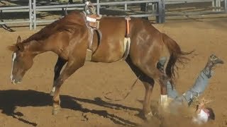 Ranch Broncs  2018 Will Rogers Range Riders Rodeo  Thursday [upl. by Weitman]