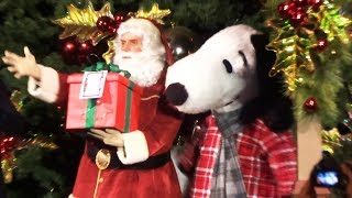 Opening Night Christmas Tree Lighting Ceremony at Knotts Merry Farm 2018 [upl. by Sabah]