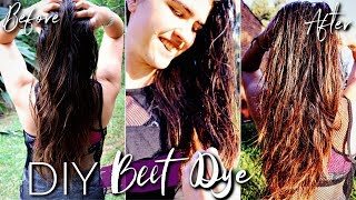 Does natural BEET hair dye work for Brown Hair [upl. by Idok]