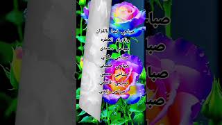 يااقدس عشك عشته حالات تيك توك مقاطع قصيره [upl. by Atinas659]