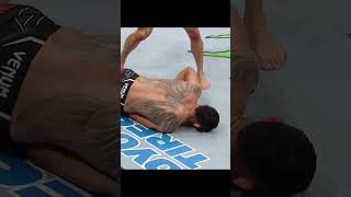 Michael Chandler Headkick🤯 nocommentary ufc309 [upl. by Eulaliah431]