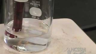 Polyprotic Acid Titration Lab [upl. by Nosille]