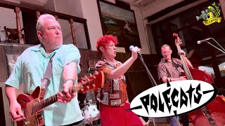 ▲Polecats  Live at Nasty Boys Saloon May 2024 [upl. by Onilecram]