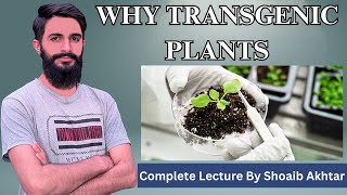 Why Transgenic plants Complete Lecture by Shoaib Akhtar [upl. by Healion]