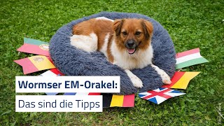 Wormser EMOrakel tippen das Achtelfinalspiel der Deutschen [upl. by Airotkciv]