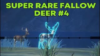 Super Rare Fallow Deer 4 Call of the Wild theHunter [upl. by Bumgardner]