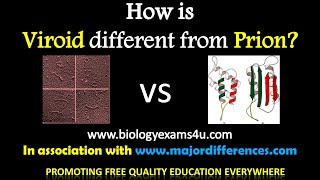 5 Differences between Viroids and Prions Viroids vs Prions in 5 minutes [upl. by Glanville]