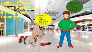 Caillou Throws a Temper Tantrum at the Mall amp Gets Grounded [upl. by Eemia54]