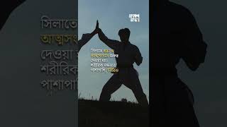 কী এই হালাল মার্শাল আর্ট ‘সিলাত’ [upl. by Tracie49]