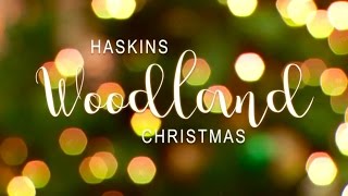 Haskins Woodland Themed Christmas [upl. by Aerua106]