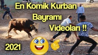 Kaçan Kurbanlıklar  En Komik Kurban Bayramı Videolari 2021 [upl. by Alilad]