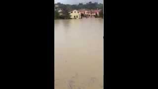 Alluvione Senigallia Borgo Bicchia sottacqua [upl. by Ardnoek731]