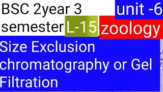 BSC 2nd year 3 semester zoology topic Size Exclusion chromatography o Gel filtration [upl. by Aken328]