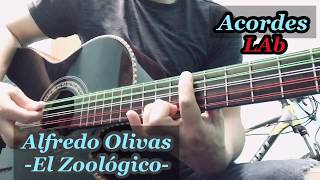 El Zoológico  Alfredo Olivas Bajo Quinto Cover Tutorial [upl. by Mullane]