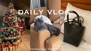 Vlog  LOEWEパズルトート👜ひとりランチクリスマスムードなお出かけ🎄 [upl. by Holton992]