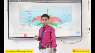 Morphology of Flowering Plants ☘️☘️ Calyx corolla Androecium Gyanoecium [upl. by Vilberg727]