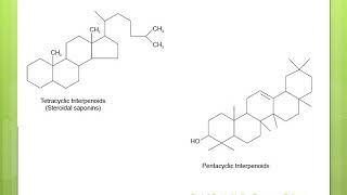 SAPONIN GLYCOSIDES [upl. by Nero477]