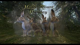 MultiMount Monday Viewers pick the Mount [upl. by Joshuah]