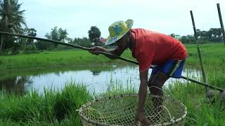 Primitive technology  Making Trap To Catch Catfish using Bamboo to lure fish Trap Work 100 [upl. by Cordle]