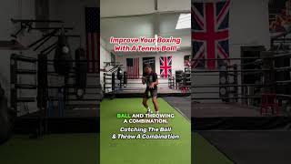 Boxing Tennis Ball Training  Boxing Tennis Ball Drills [upl. by Eittod912]