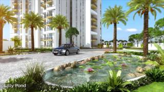 PINE GROVE  ARDENTE REALTORS Bangalore [upl. by Ahsha]