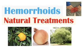 How To Treat Hemorrhoids  9 Natural Treatments Plant Flavonoids for Hemorrhoidal Disease [upl. by Bowe955]