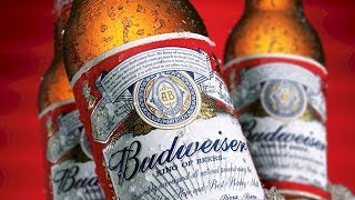 The Untold Truth Of Budweiser [upl. by Emor588]