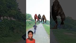 Big ❤️dinosaur chase TRex chasing😱 🦖shorts dinosaur youtube dinosaurs 🦖 [upl. by Oirrad399]