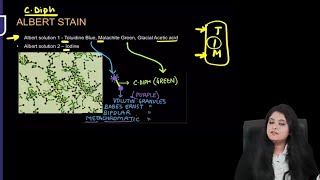 Microbiology RR  Part1  Dr Preeti Maam  FMGE NEETPG [upl. by Olva]