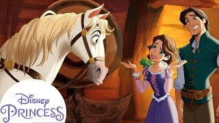 Bedtime For Max  Disney Princess Read Alongs [upl. by Palila]