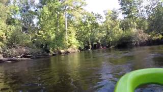 Nottoway River Kayak Courtland Virginia [upl. by Lamoree512]