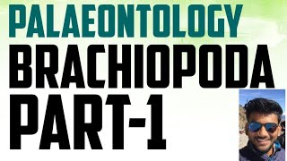 Geology palaeontology lecture series brachiopoda [upl. by Germann]