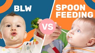 Is BabyLed Weaning ACTUALLY Better Than Spoon Feeding [upl. by Nnazil]