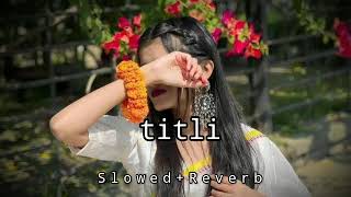 Titli Dil Uda  Lofi SlowedReverb  Deepika Padukone  Hindi Song 2024  MashaBearRUSSIAN [upl. by Jemmy]