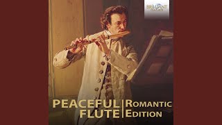 Flute Quintetto No 3 in C Major G427 Op 19 I Andante Non Tanto [upl. by Kiel]