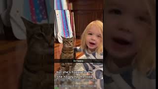 Funny Cats 2024 😅 funny cats meme 🐱 babycats Episode 2852 [upl. by Yrehc331]