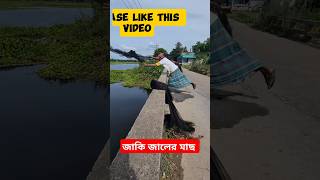 যাকে জাল দিয়ে মাছ ধরামাছfish fishing [upl. by Raina]