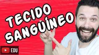 Tecido Sanguíneo  Histologia  Aula  Biologia com Samuel Cunha [upl. by Dareen]