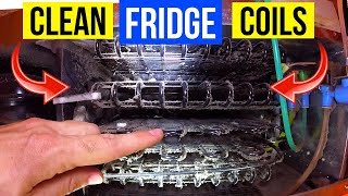 How To Clean Refrigerator Condenser Coils Fast amp Easy Jonny DIY [upl. by Einre491]