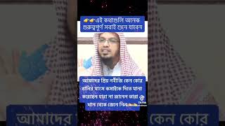 gazal gozol gojol bangla gazal Islamic gazal bangla gojol gojol bangla bangla Islamic gojol [upl. by Sudhir]